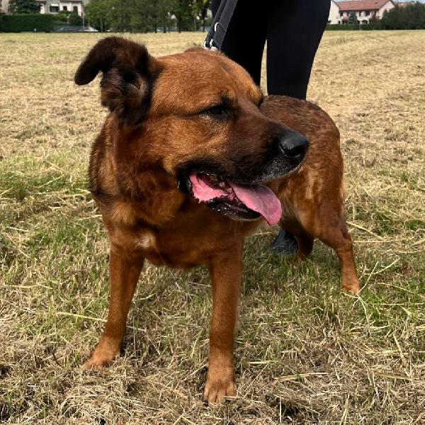 JONAS CAGNOLONE GENTILE Foto 5